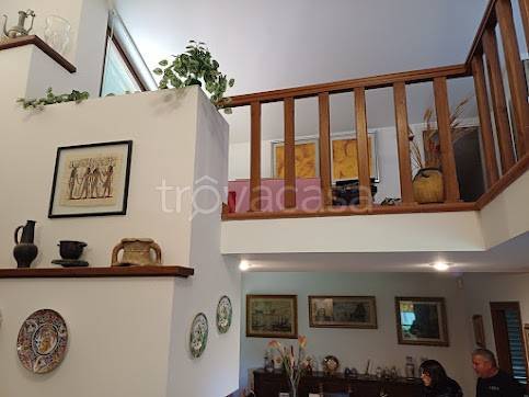 immagine annuncio 2 di 14