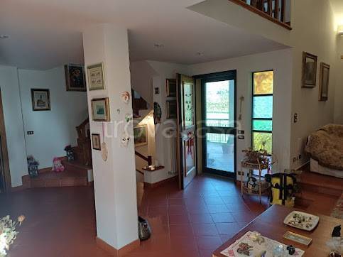 immagine annuncio 9 di 14