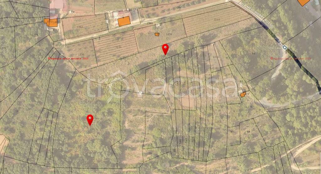 immagine annuncio 12 di 13