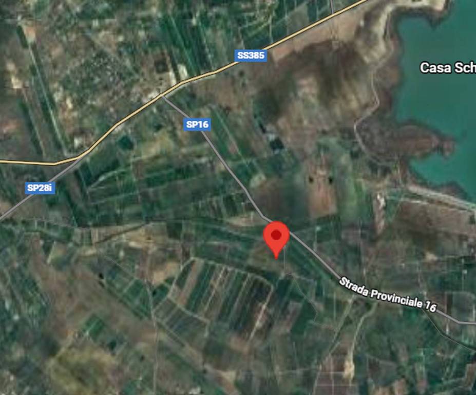 immagine annuncio 8 di 10