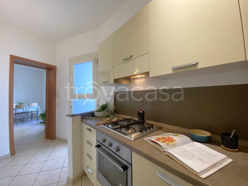 immagine annuncio 12 di 14