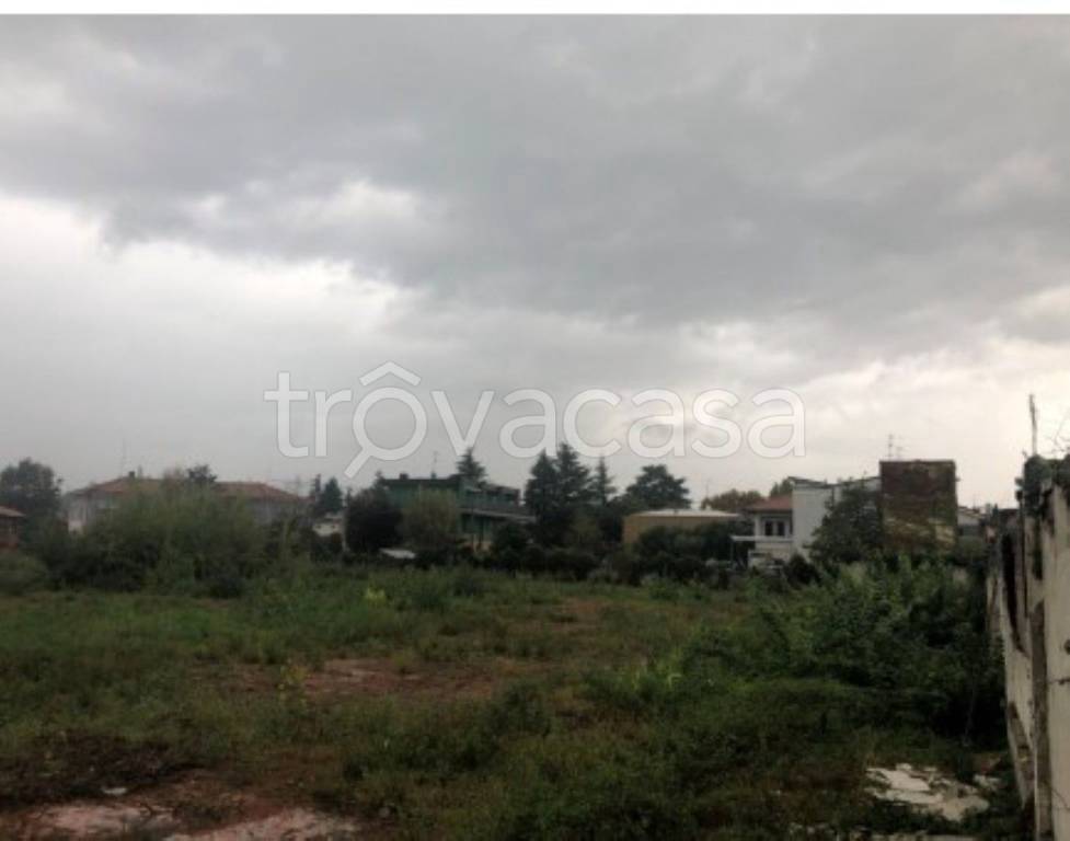 immagine annuncio 4 di 11