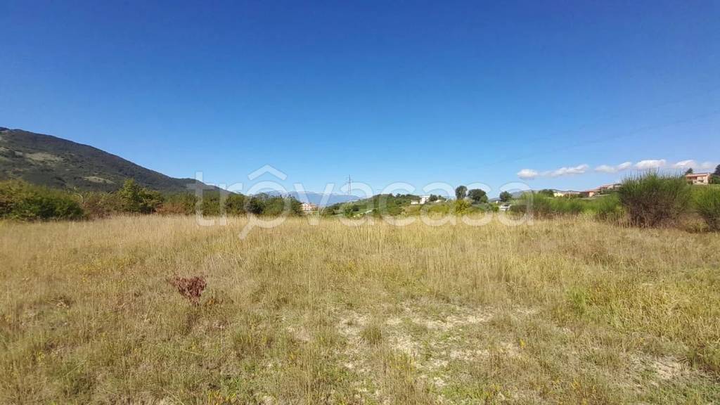 immagine annuncio 7 di 9