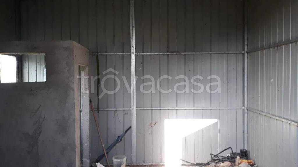 immagine annuncio 7 di 13