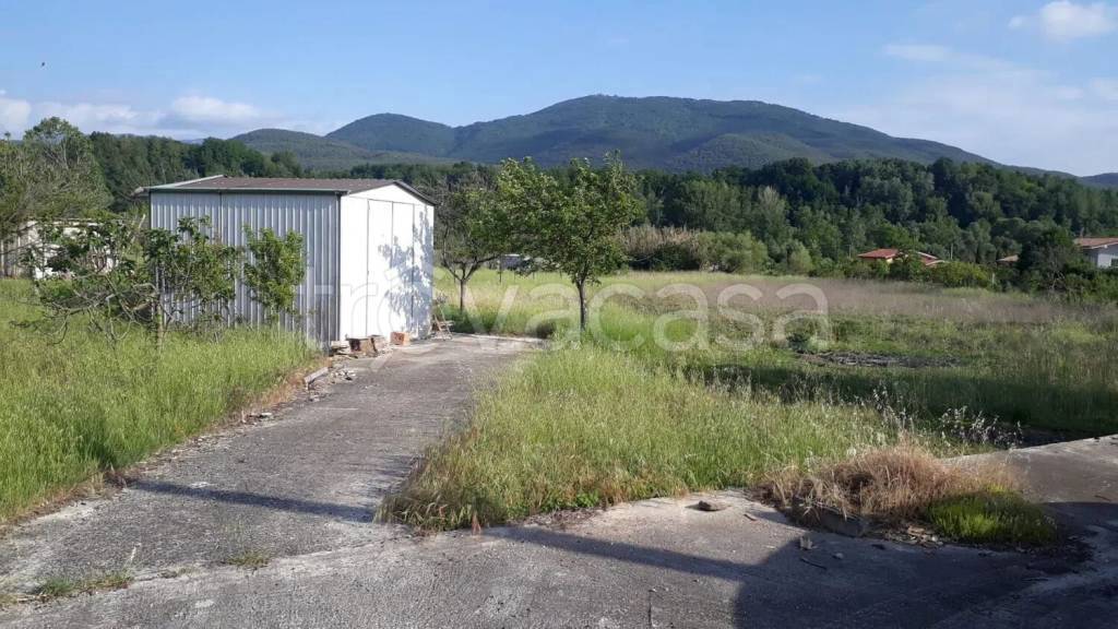 immagine annuncio 12 di 13