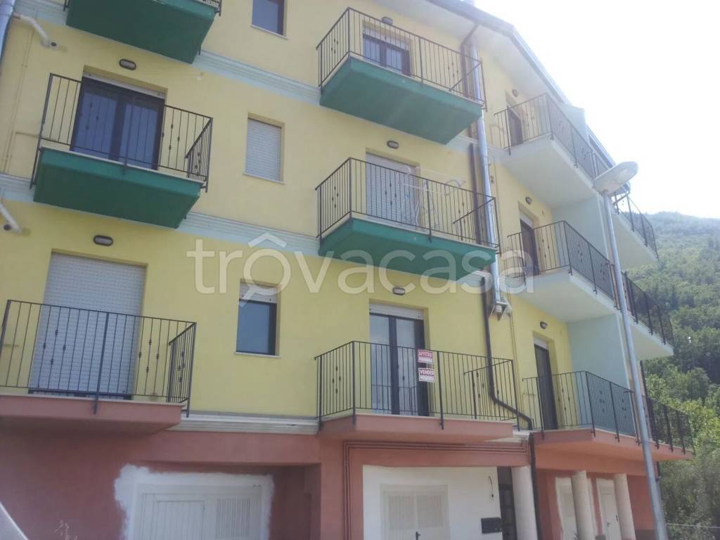 immagine annuncio 2 di 11