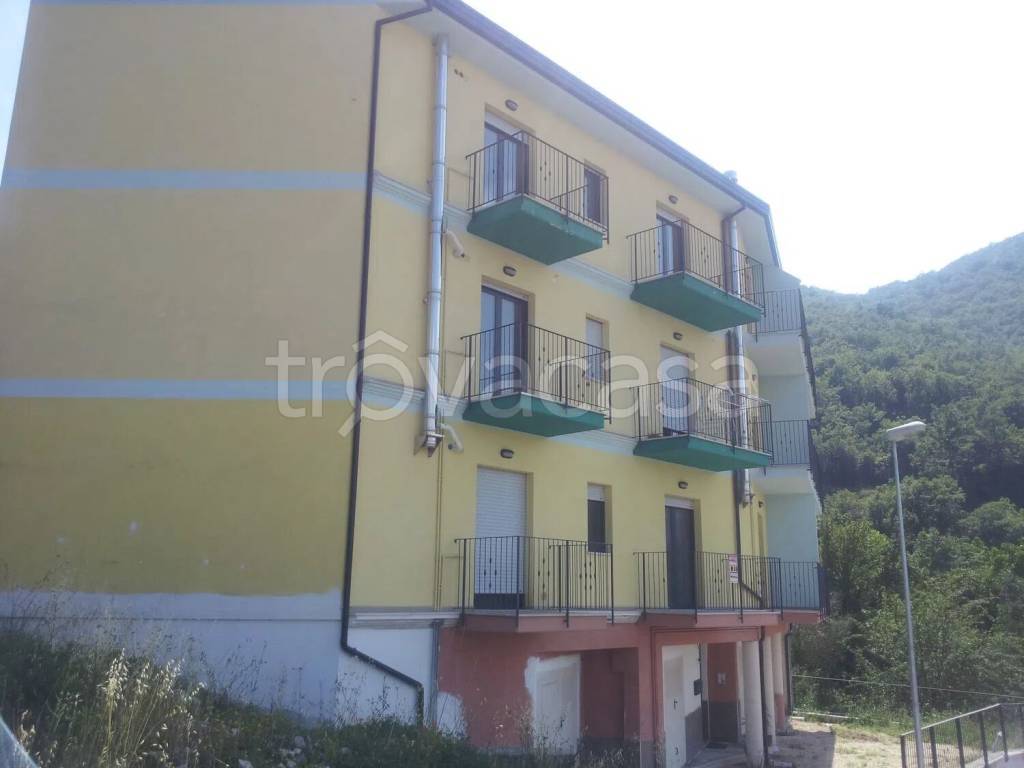 immagine annuncio 9 di 11