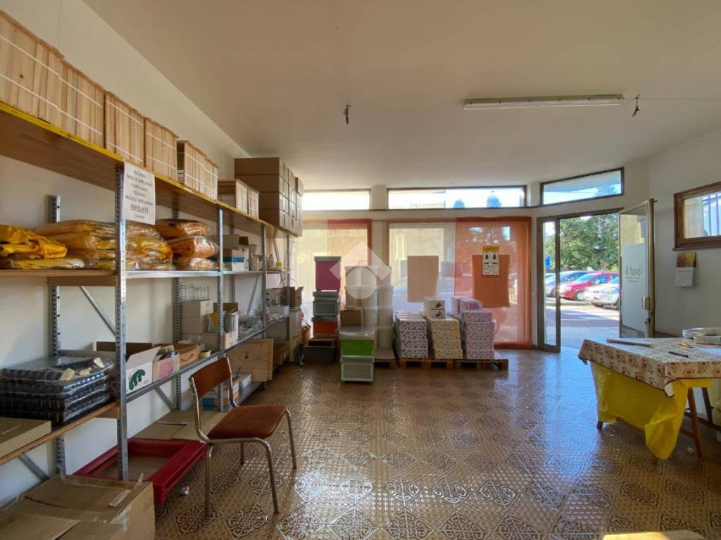 immagine annuncio 4 di 11