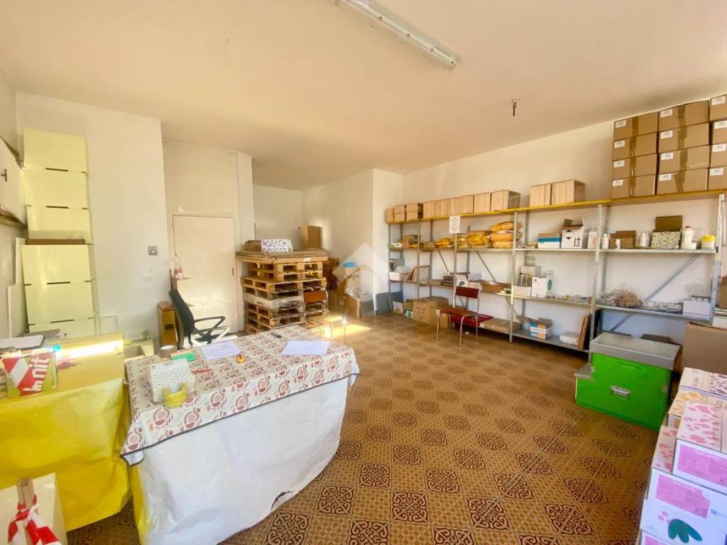 immagine annuncio 5 di 11