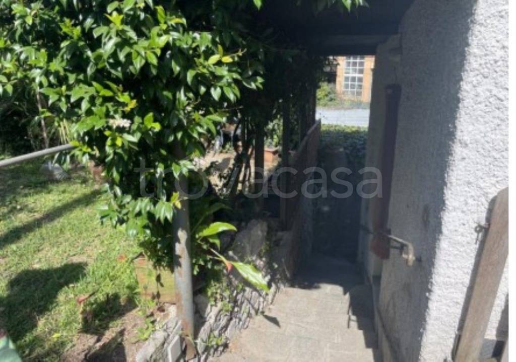 immagine annuncio 5 di 11