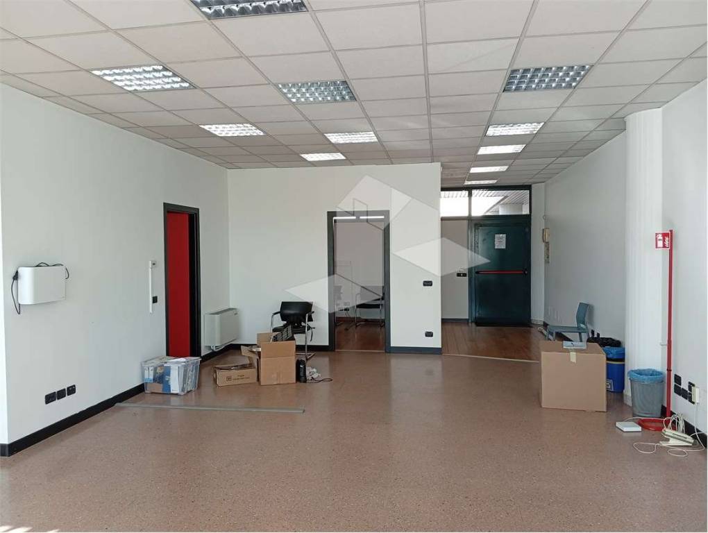 immagine annuncio 8 di 14