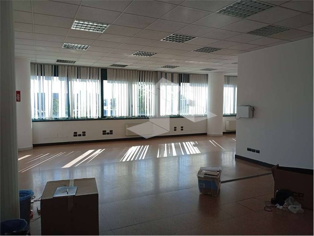 immagine annuncio 13 di 14