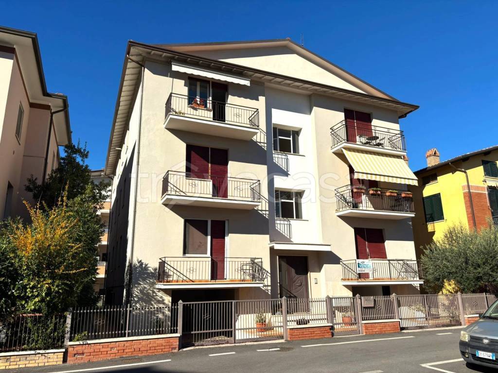 immagine annuncio 1 di 12