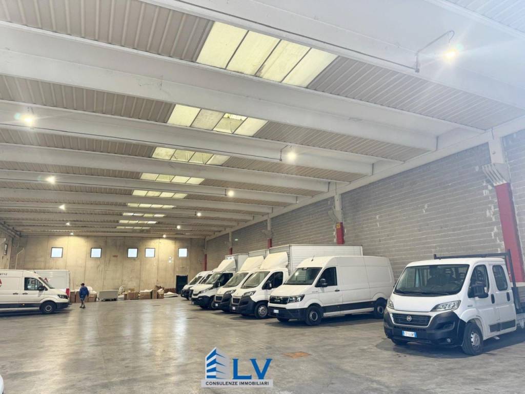 immagine annuncio 1 di 12