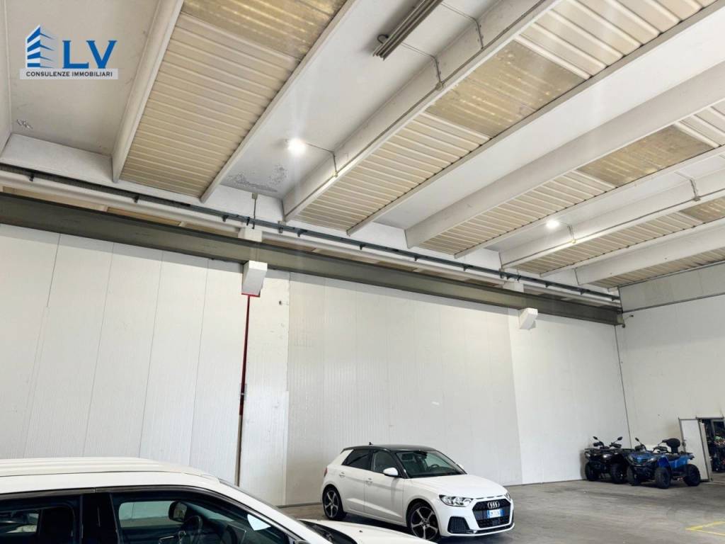 immagine annuncio 3 di 12