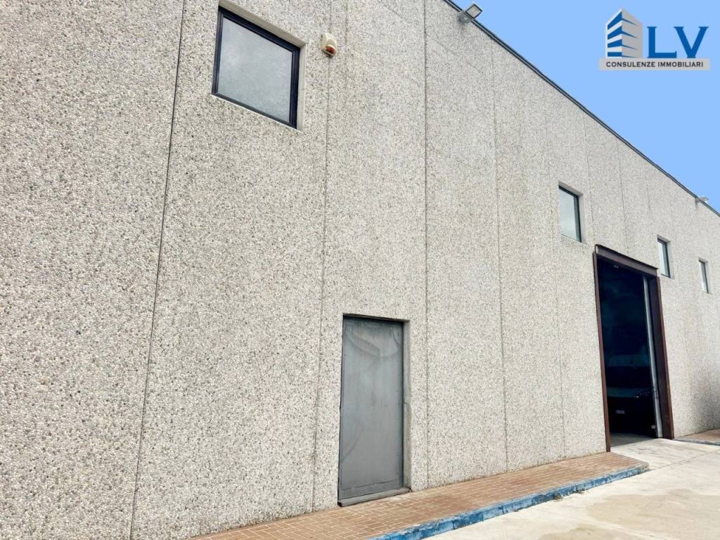 immagine annuncio 11 di 12