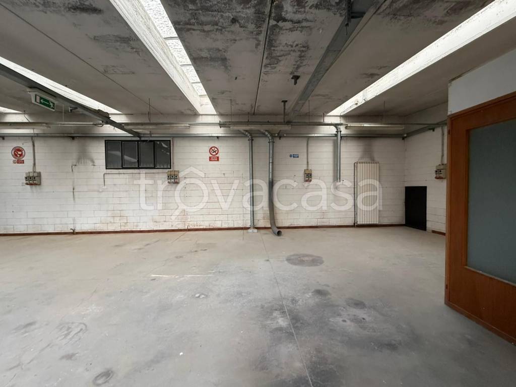 immagine annuncio 3 di 11