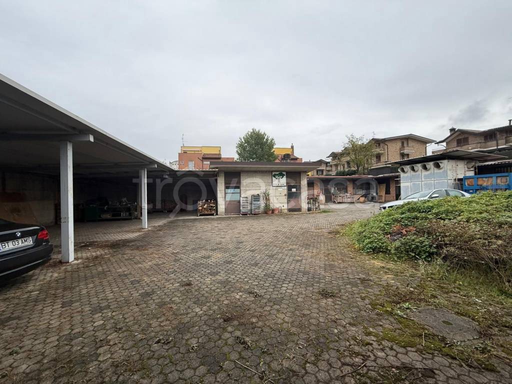 immagine annuncio 4 di 11