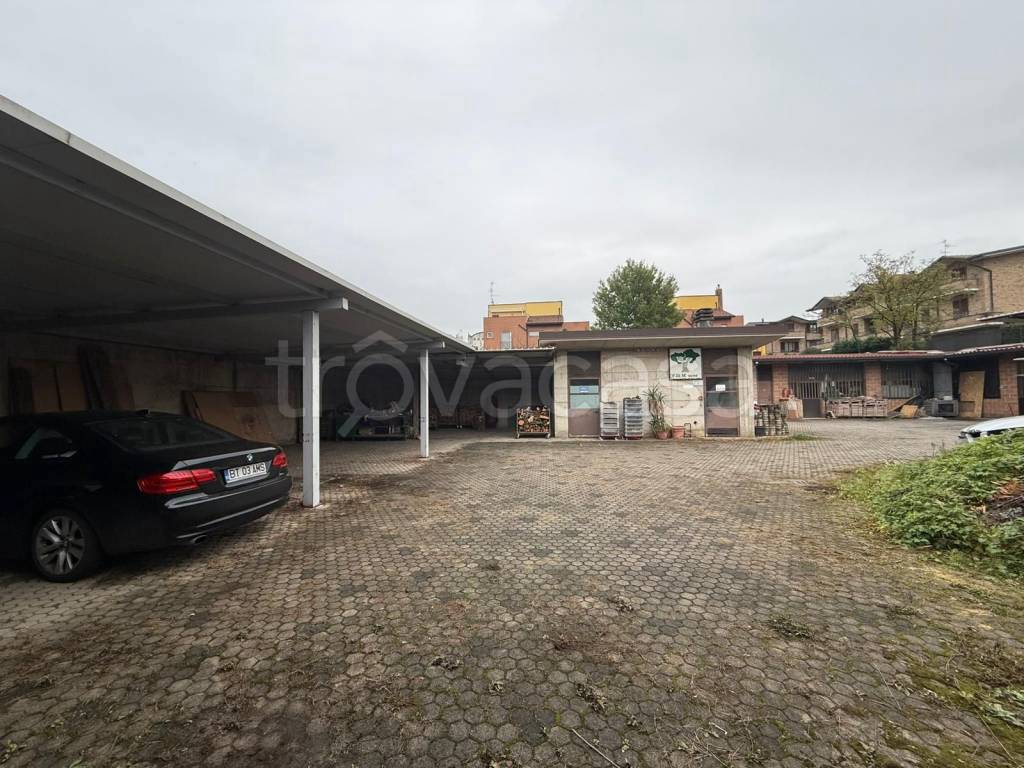 immagine annuncio 5 di 11