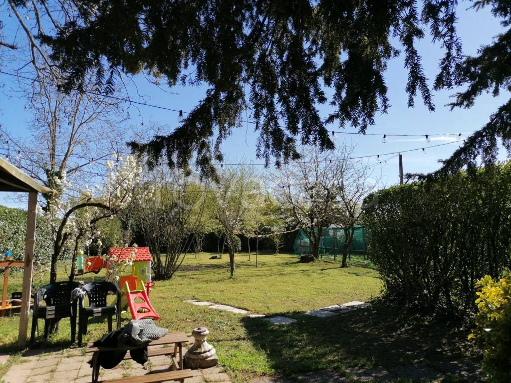 immagine annuncio 3 di 12