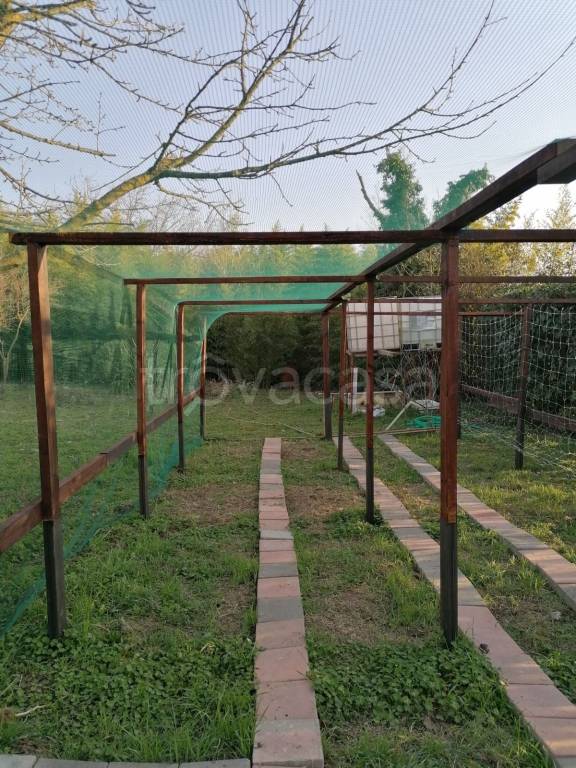 immagine annuncio 8 di 12