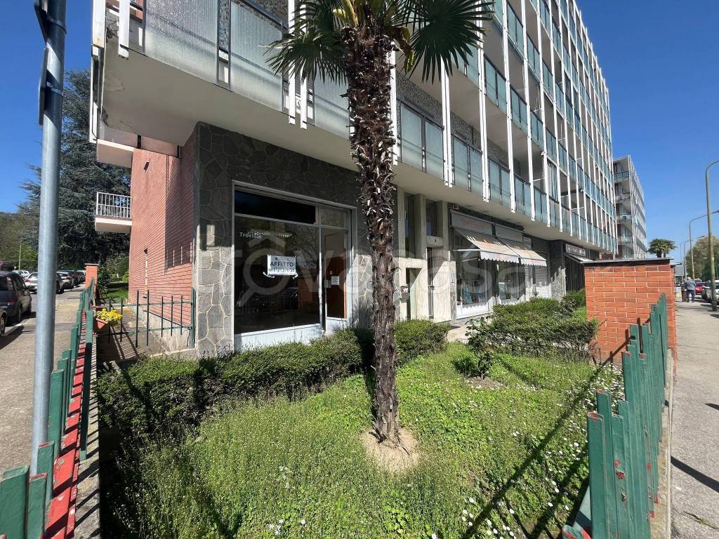 immagine annuncio 6 di 7