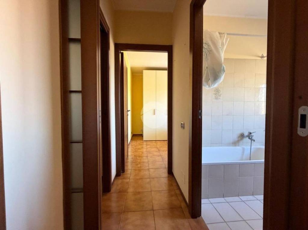 immagine annuncio 9 di 14