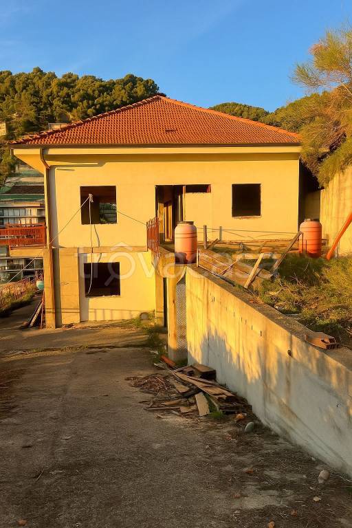 immagine annuncio 1 di 8