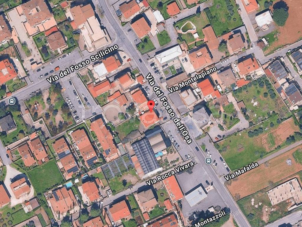 immagine annuncio 2 di 12