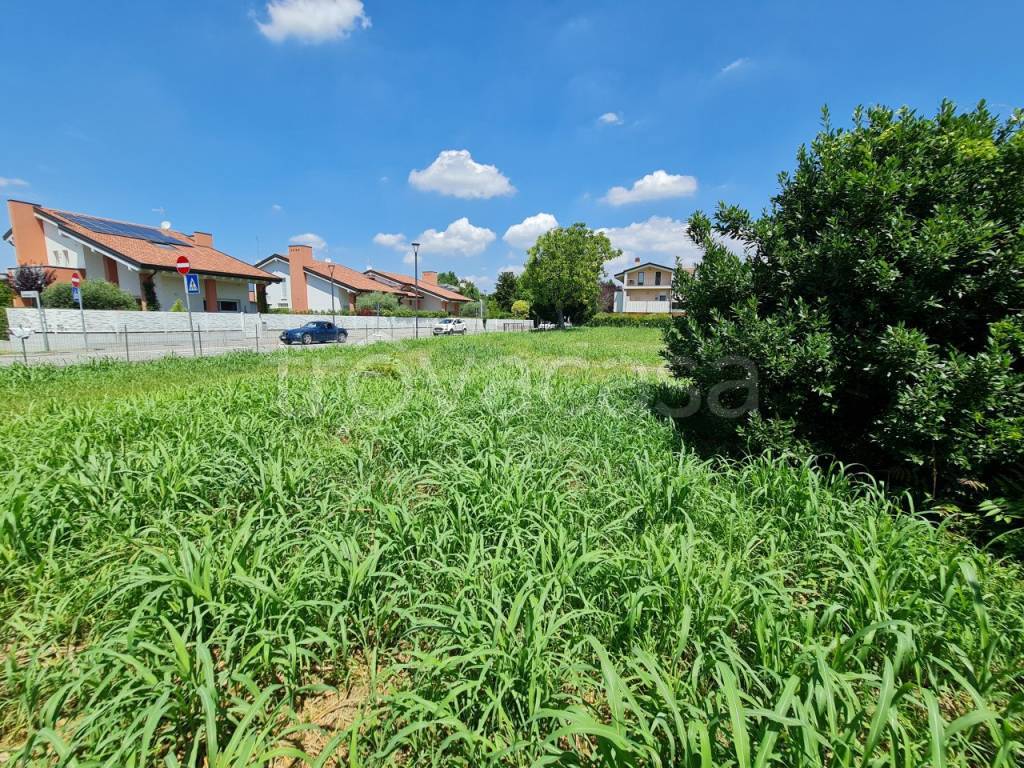 immagine annuncio 8 di 14