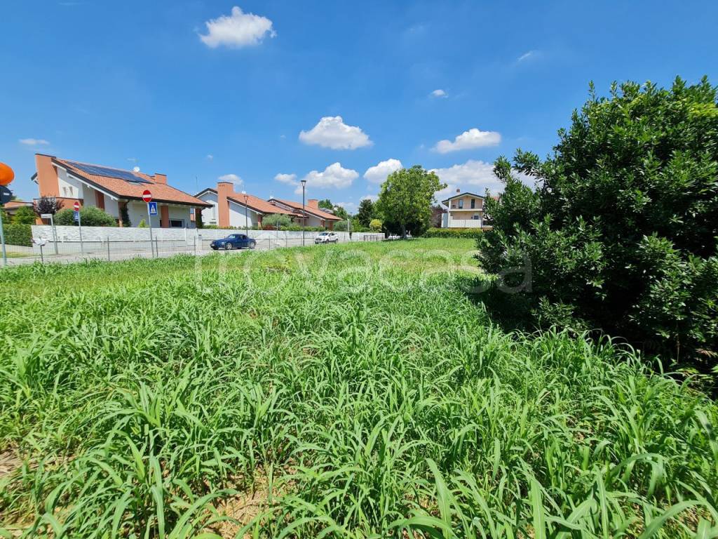 immagine annuncio 9 di 14