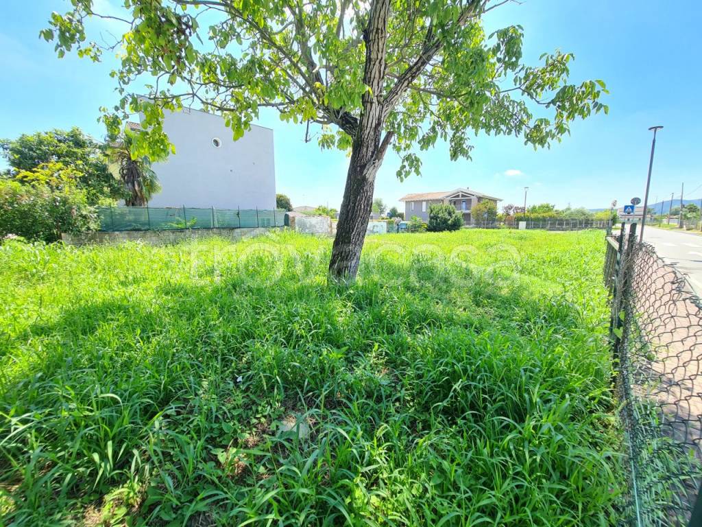 immagine annuncio 12 di 14