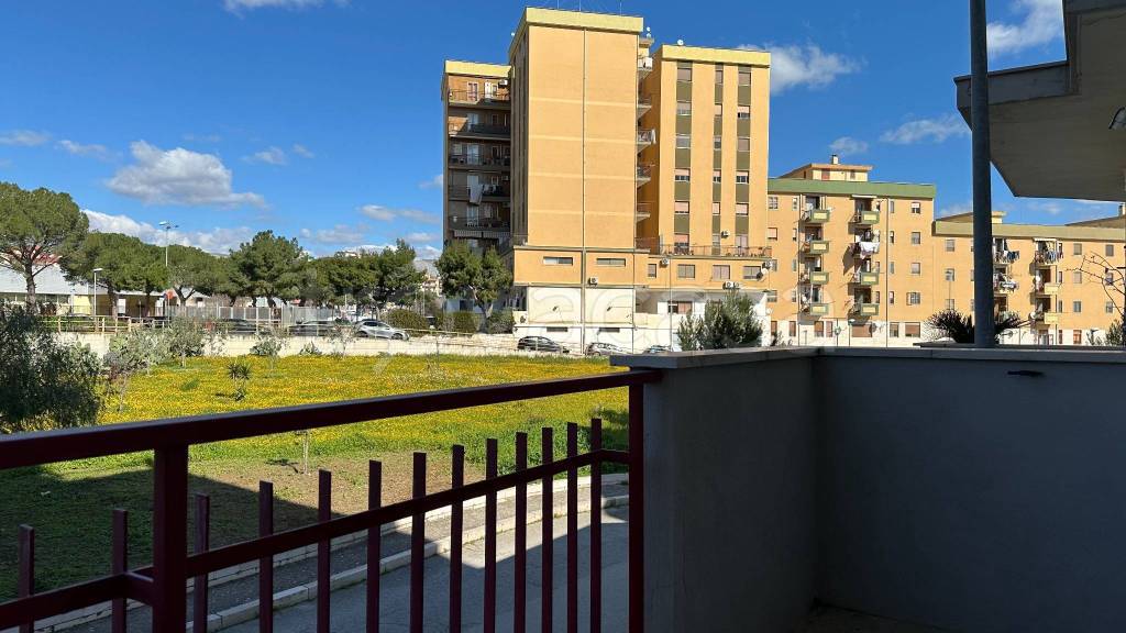 immagine annuncio 9 di 14