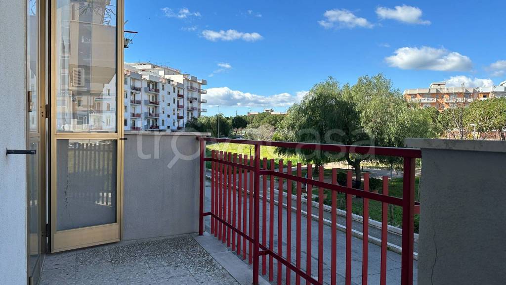 immagine annuncio 10 di 14