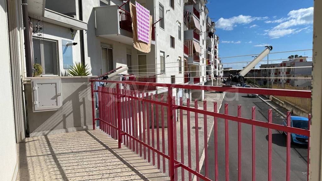 immagine annuncio 11 di 14