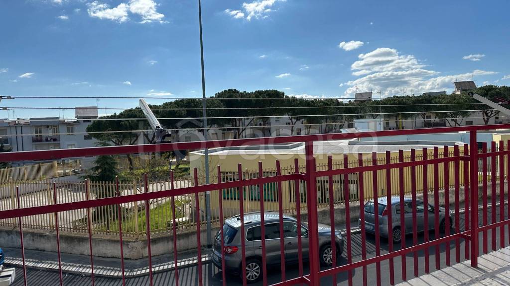 immagine annuncio 12 di 14