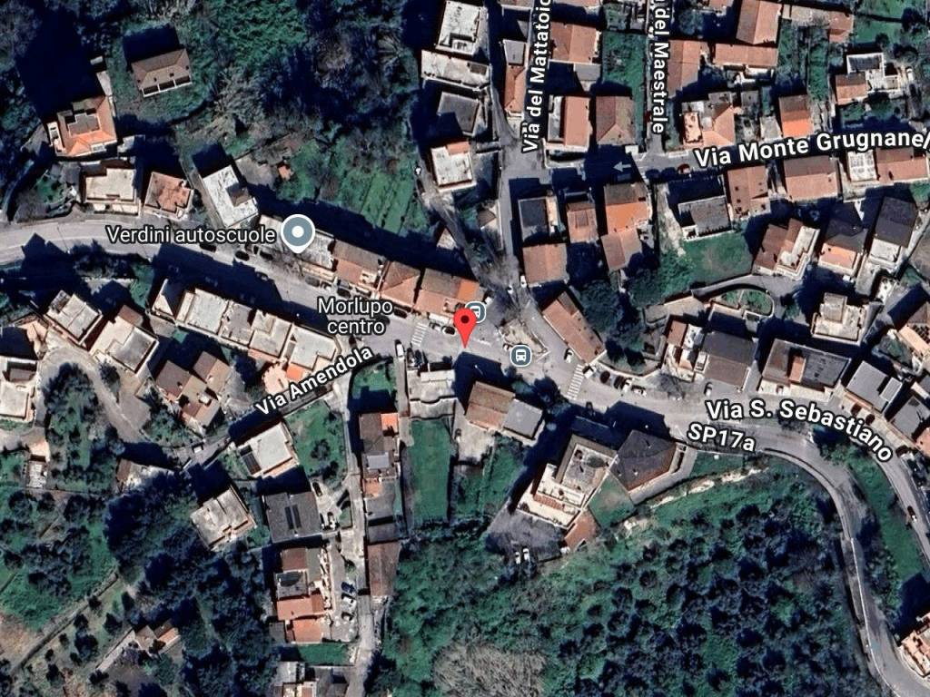 immagine annuncio 1 di 11