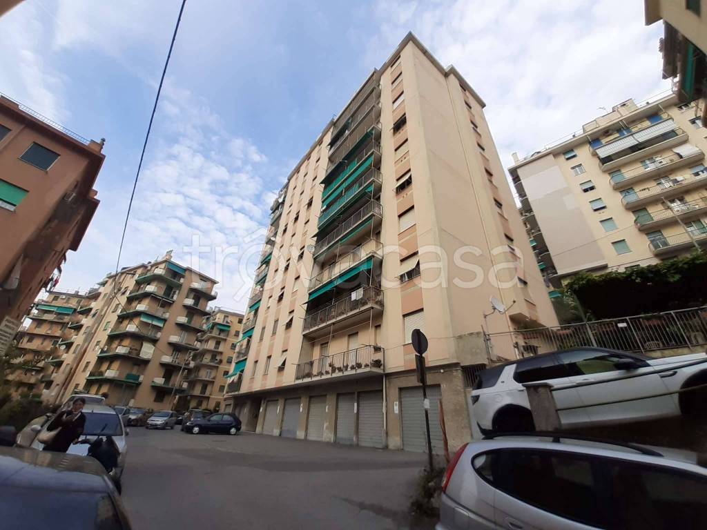 immagine annuncio 6 di 12