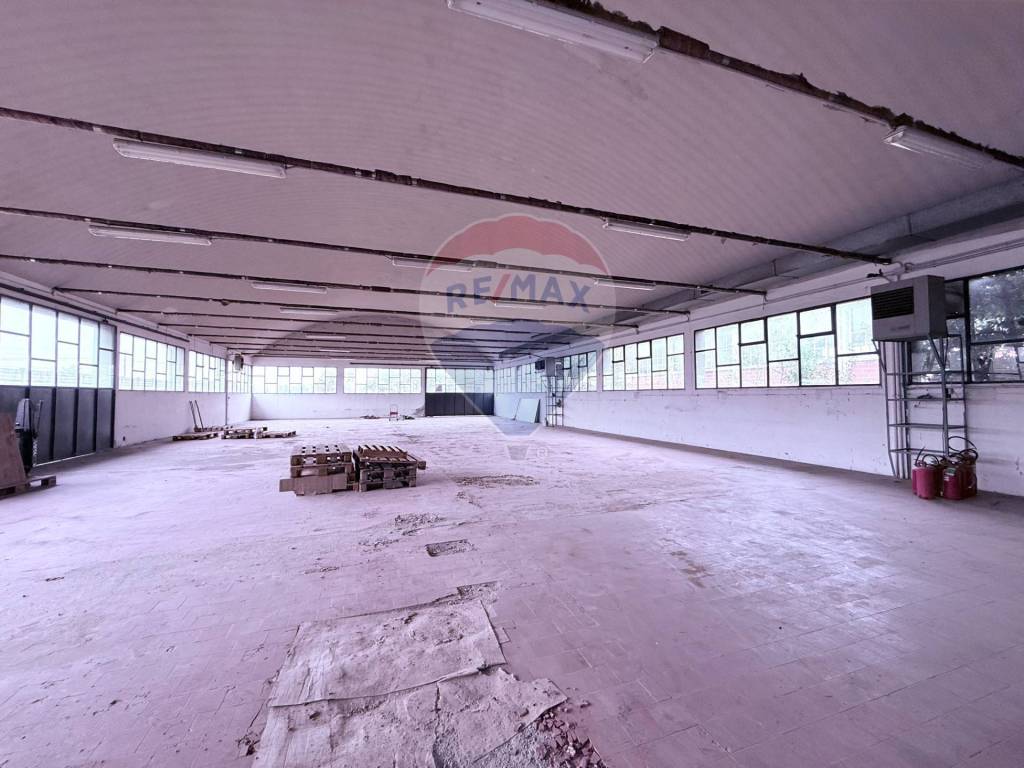 immagine annuncio 7 di 13