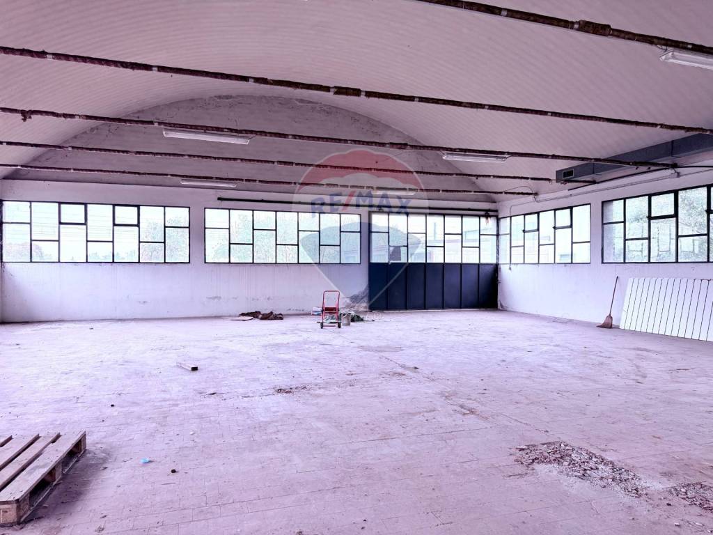 immagine annuncio 9 di 13