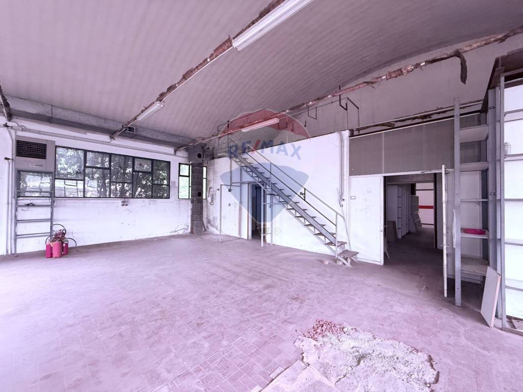 immagine annuncio 10 di 13