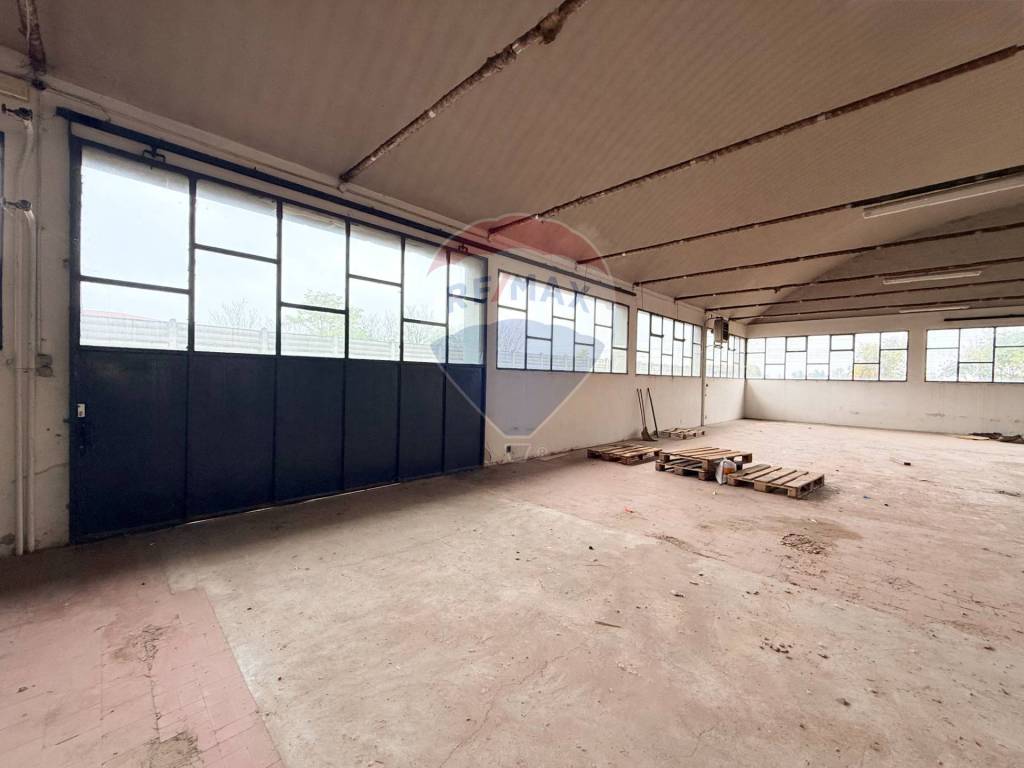 immagine annuncio 11 di 13