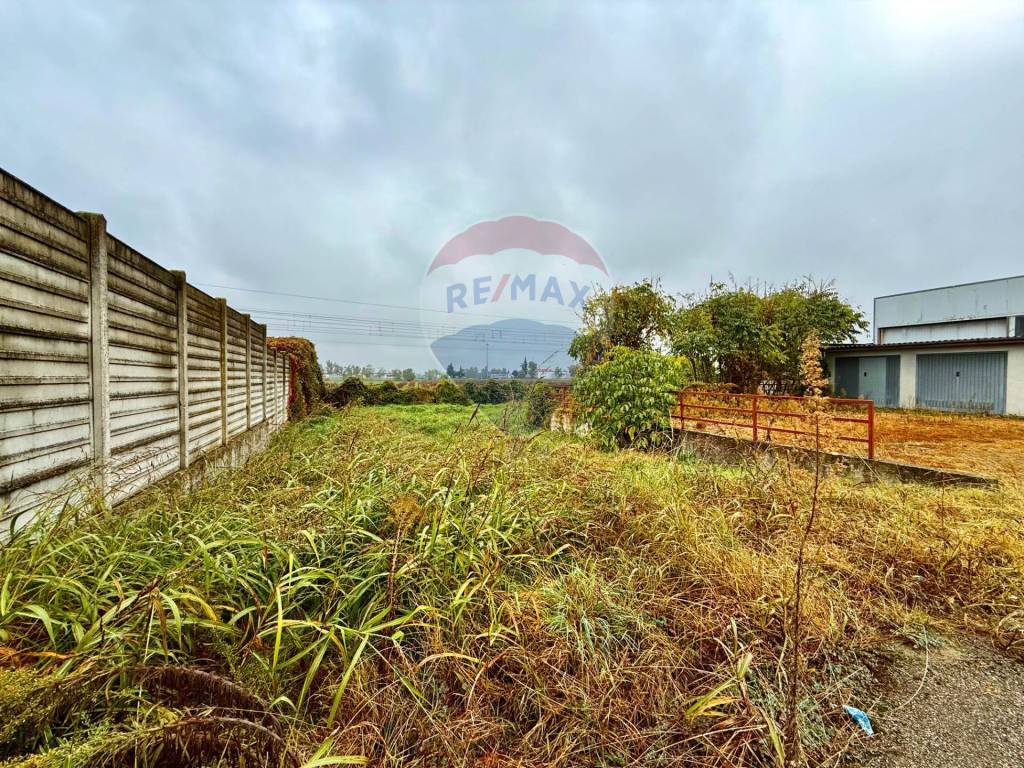 immagine annuncio 12 di 13