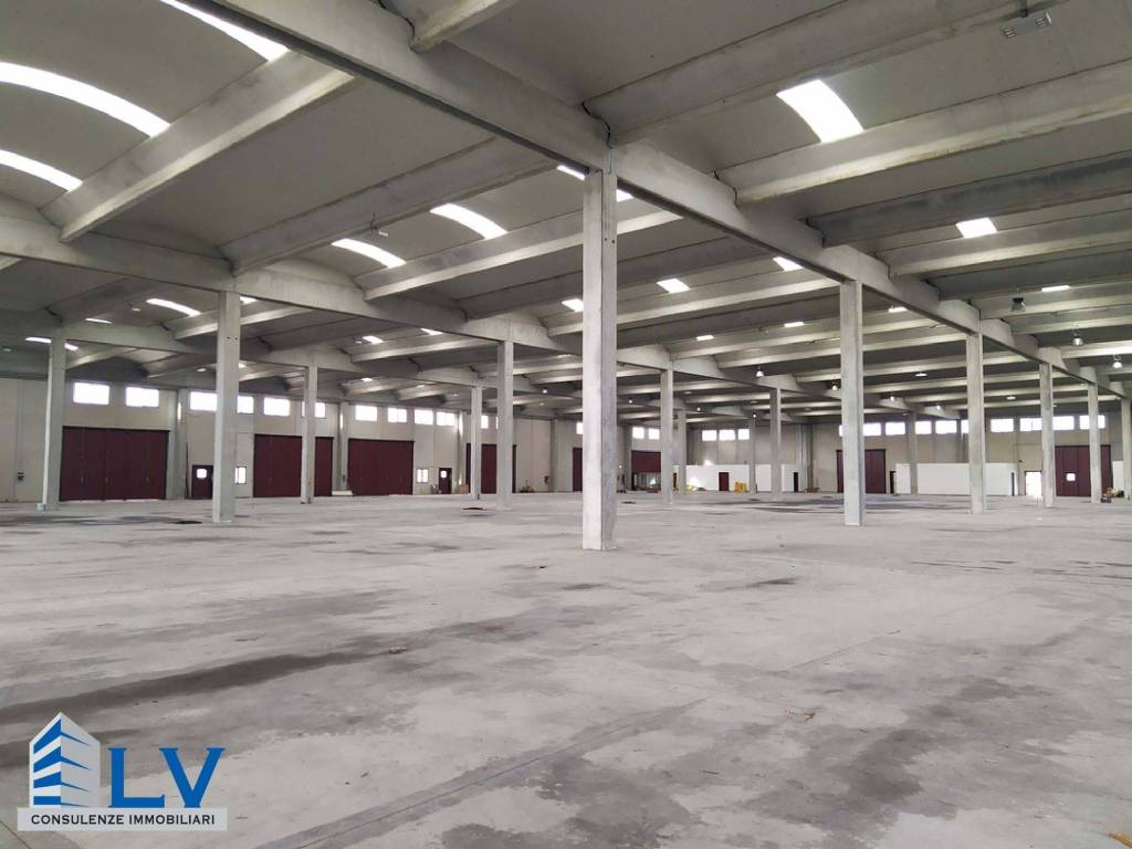 immagine annuncio 3 di 4