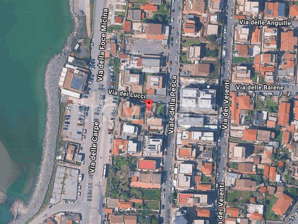 immagine annuncio 1 di 11