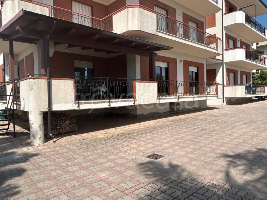 immagine annuncio 1 di 7