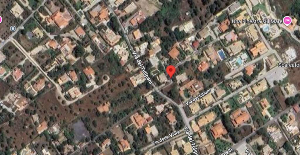 immagine annuncio 5 di 11