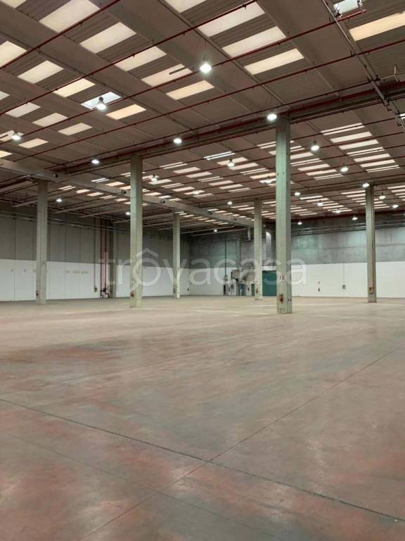 immagine annuncio 2 di 9