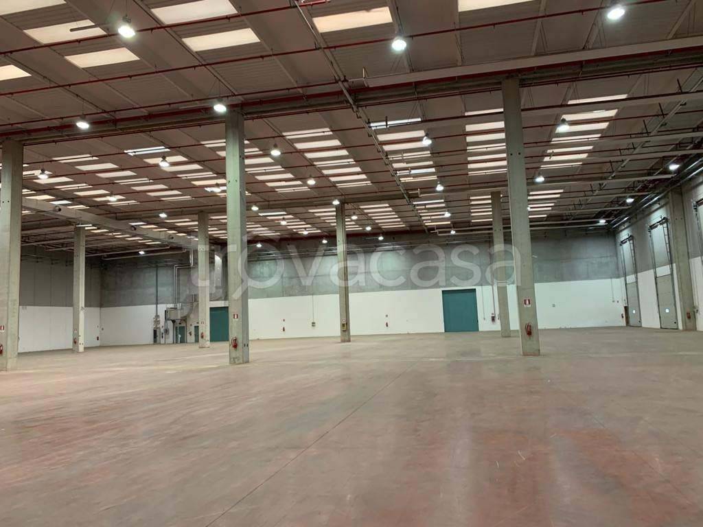 immagine annuncio 6 di 9