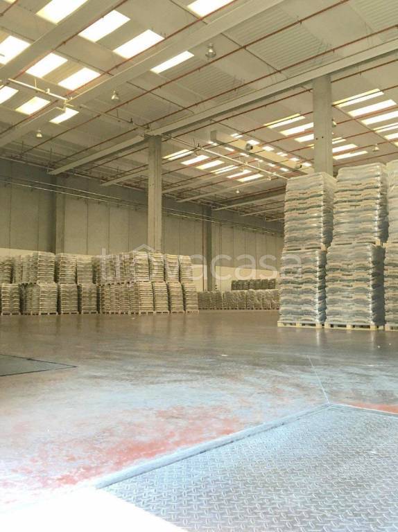 immagine annuncio 8 di 9